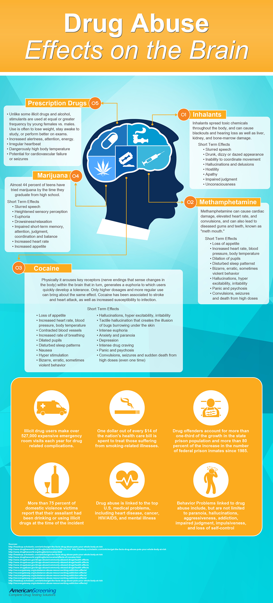 Drug Abuse Effects On The Brain Infographic 