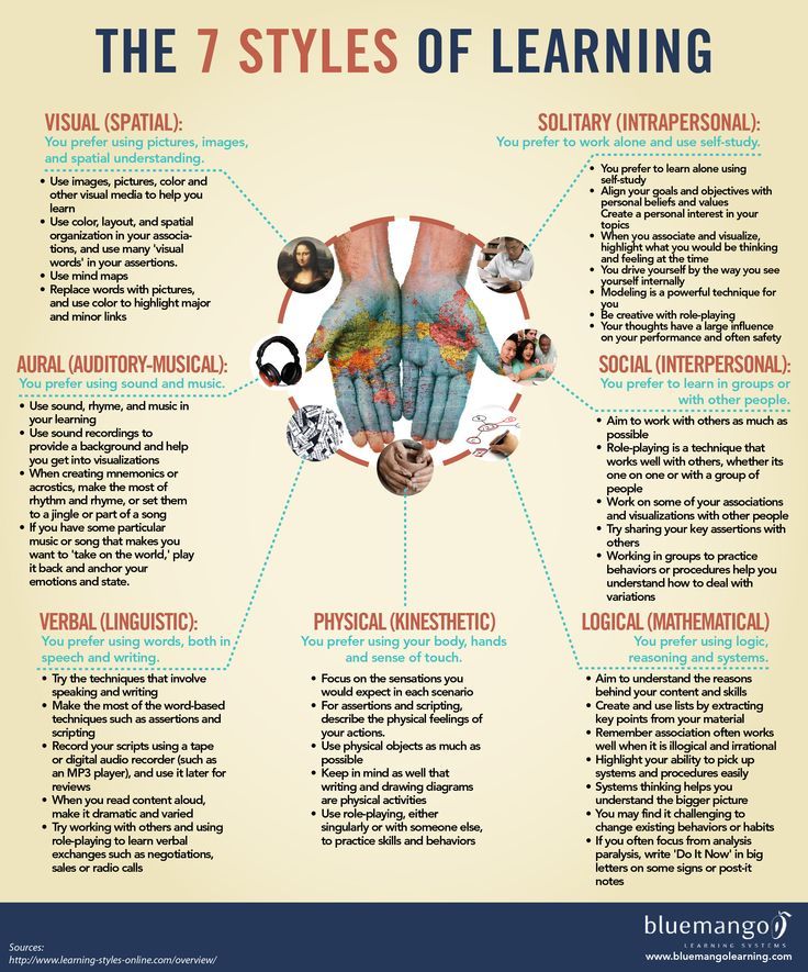 Seven Styles of Learning (Infograph)