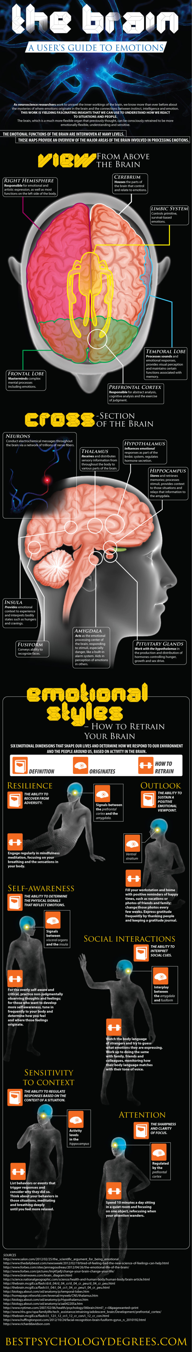 The Brain A User S Guide To Emotions Infograph